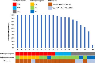 Neoadjuvant therapy with chemotherapy and immune checkpoint inhibitor for laryngeal function preservation in locally advanced hypopharyngeal cancer